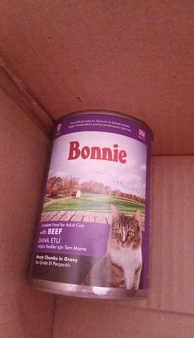 Bonnie Kedi Konservesi - Görsel 2