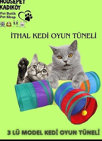 Kedi tuneli