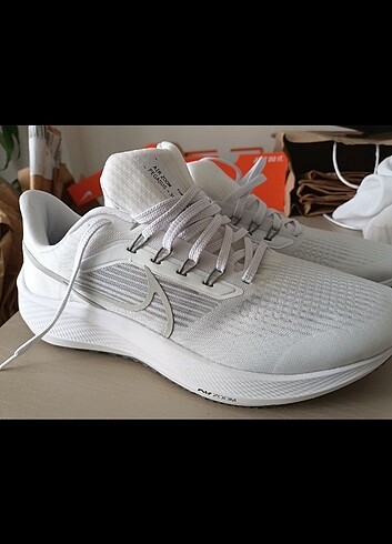 Nike pegasus 39