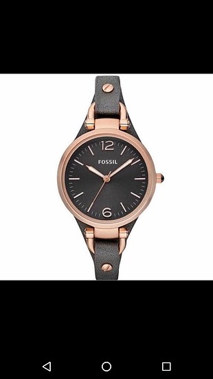 Fossil bayan saat