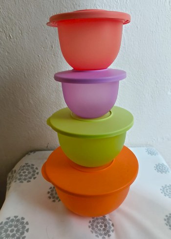 Renkli Plastik Saklama Kapları Seti
