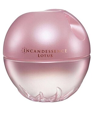 ıncandense lotus avon