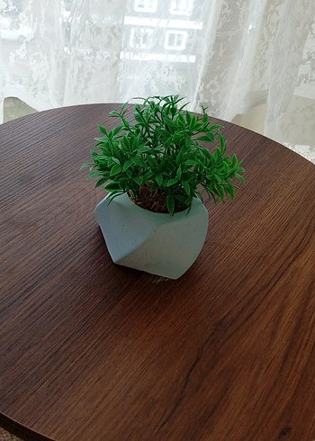 Pastel Yeşil Saksıda Dekoratif Bitki - Görsel 2