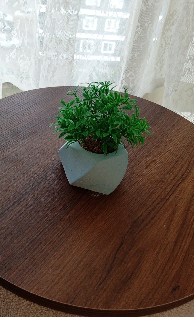 Pastel Yeşil Saksıda Dekoratif Bitki - Görsel 2