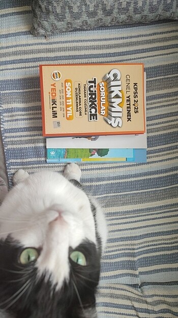 Kitap 