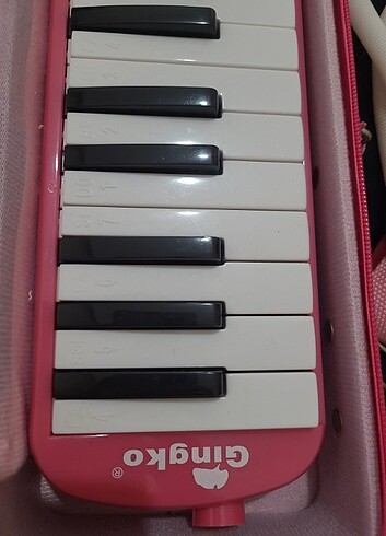 32 tuşlu melodika - Görsel 4