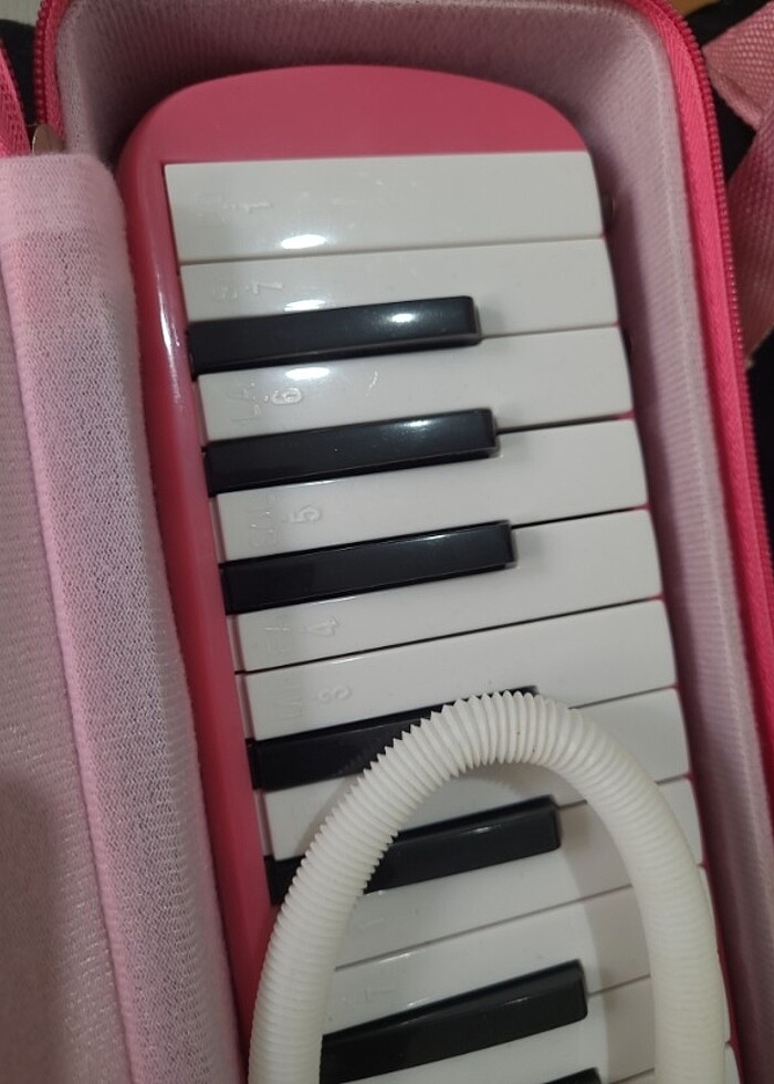 32 tuşlu melodika - Görsel 2