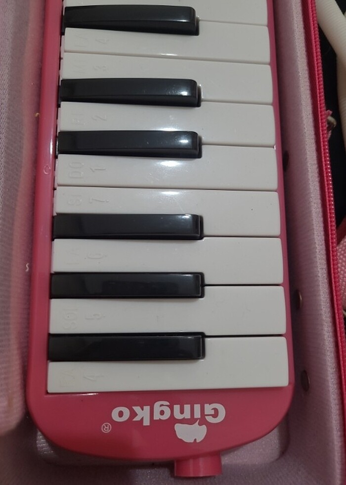 32 tuşlu melodika - Görsel 4