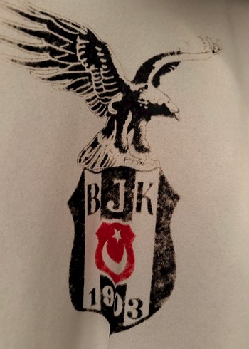 Beşiktaş Kapüşonlu Fermuarlı Erkek Sweatshirt - Görsel 3