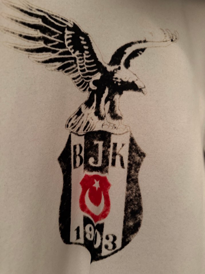 Beşiktaş Kapüşonlu Fermuarlı Erkek Sweatshirt - Görsel 3