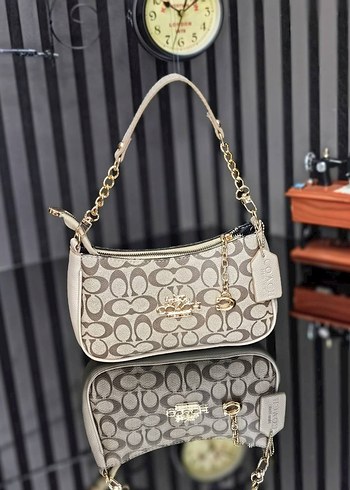  Beden çeşitli Renk Coach Zincir model çanta