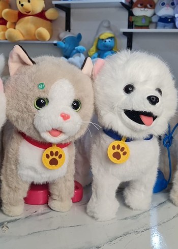 Renkli Peluş Kedi ve Köpek Oyuncak