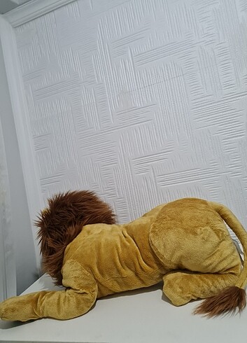 Beden ASLAN