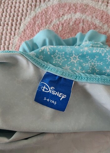 Walt Disney World Disney mayo
