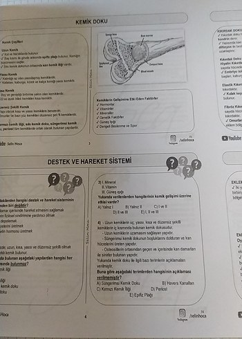 2022 TYT Biyoloji Video Ders Defteri - Görsel 3