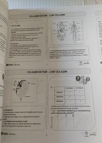 2022 TYT Biyoloji Video Ders Defteri - Görsel 4