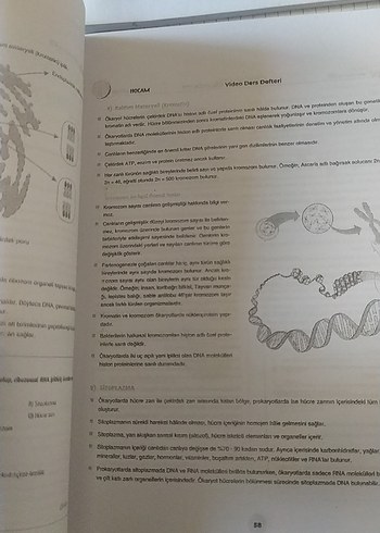 2022 TYT Biyoloji Video Ders Defteri - Görsel 7