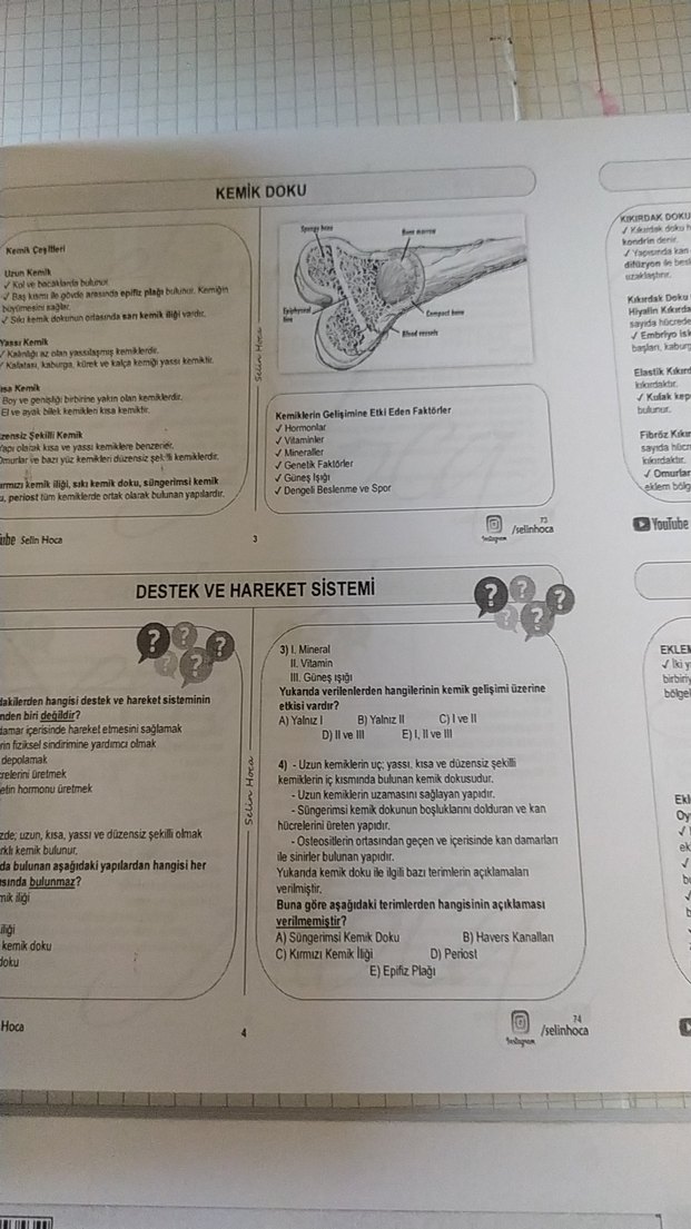 2022 TYT Biyoloji Video Ders Defteri - Görsel 3