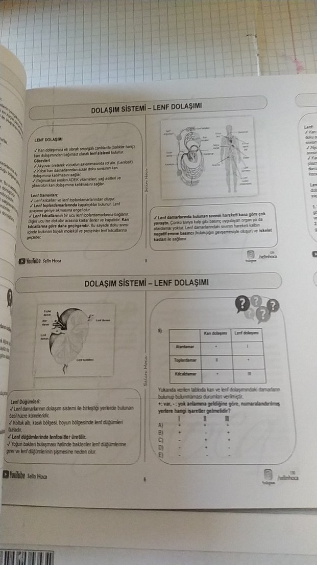 2022 TYT Biyoloji Video Ders Defteri - Görsel 4