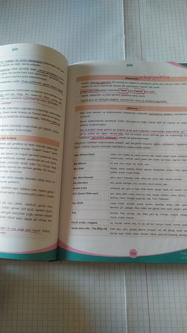 Edebiyat El Kitabı - Limit Yayınları - Görsel 3