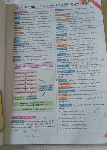Beden Renk TYT Biyoloji Soru Kitabı Murat Aydoğan