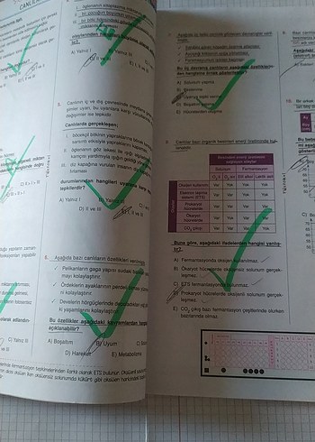 TYT Biyoloji Soru Kitabı Murat Aydoğan - Görsel 5