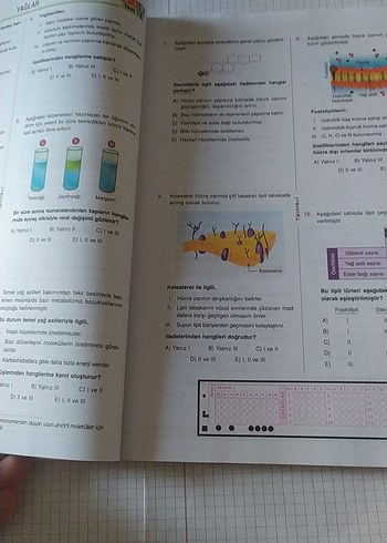 TYT Biyoloji Soru Kitabı Murat Aydoğan - Görsel 6
