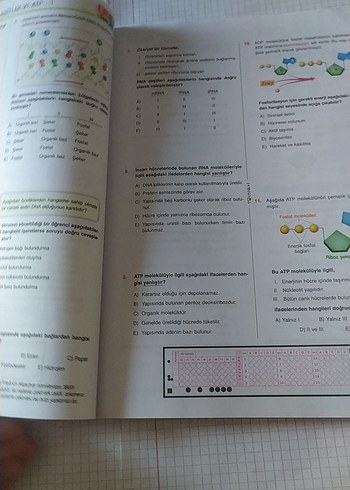 TYT Biyoloji Soru Kitabı Murat Aydoğan - Görsel 7