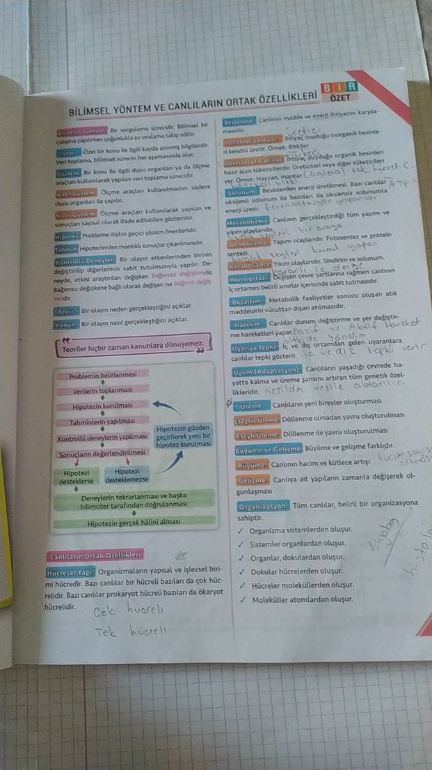 TYT Biyoloji Soru Kitabı Murat Aydoğan - Görsel 4