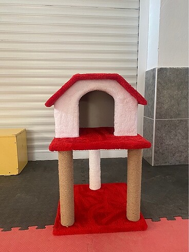 Kedi evi