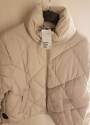 Trend mont