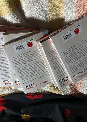 Kitap japon edebiyatı - Görsel 3