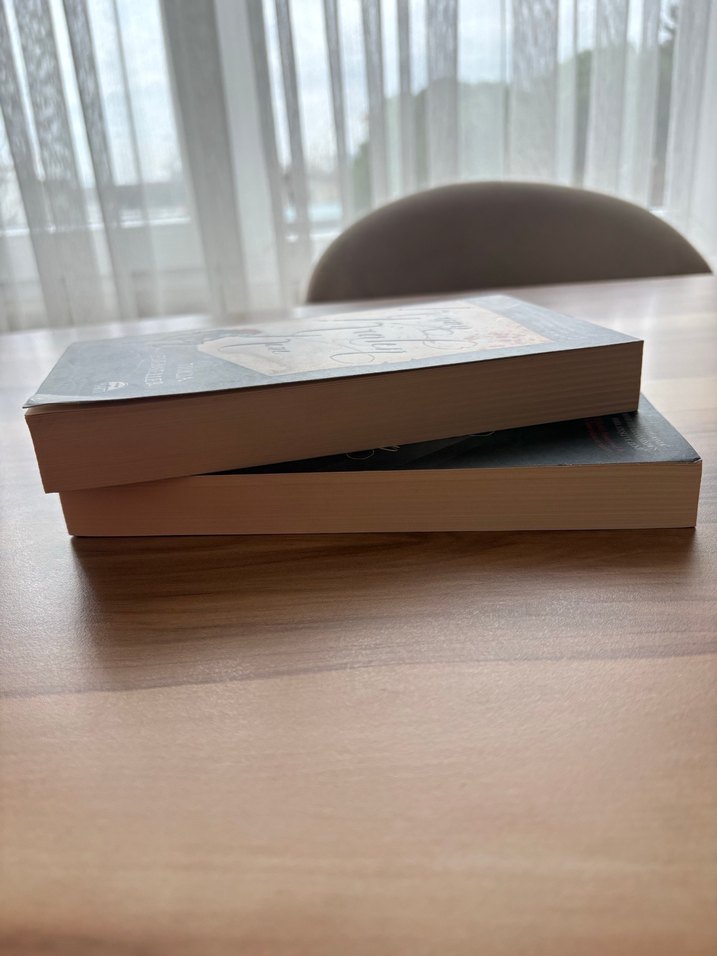 Korsan kralın kızı serisi - Tricia Levenseller - Görsel 2