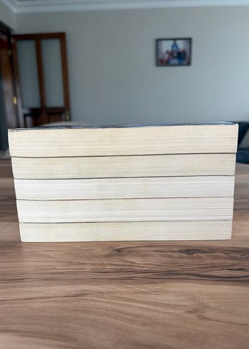 Elise Kova - hava uyanıyor serisi - Görsel 4