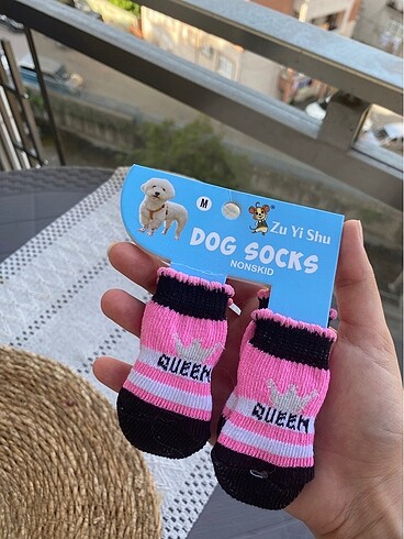 Köpek çorabı