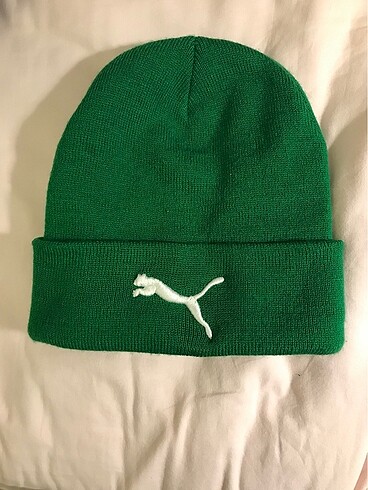 Puma bere