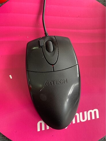 mouse