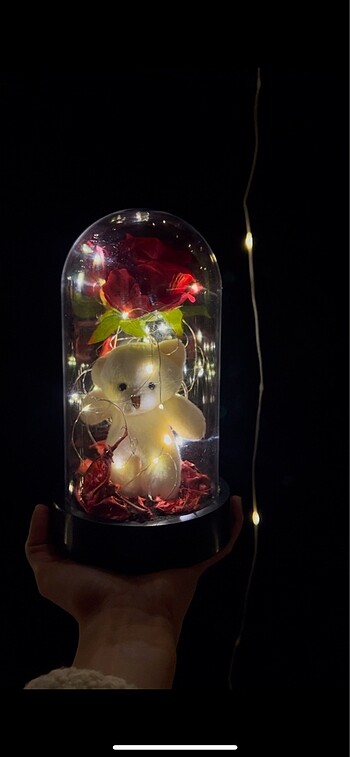 Ledli Ayıcıklı güllü fanus - Görsel 2