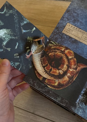 Harry Potter Pop-Up Kitap - Görsel 7