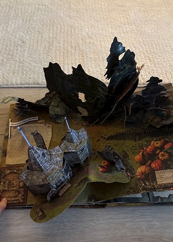 Harry Potter Pop-Up Kitap - Görsel 2