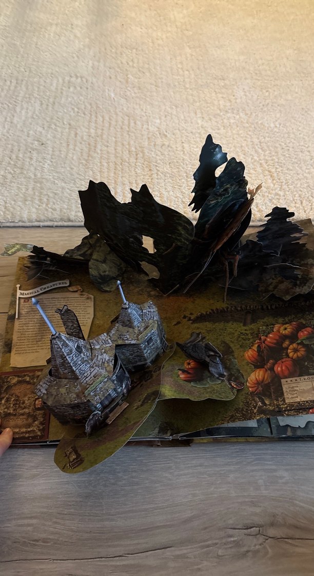 Harry Potter Pop-Up Kitap - Görsel 2