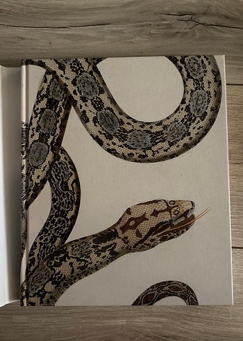 Harry Potter: A History of Magic Kitabı - Görsel 3