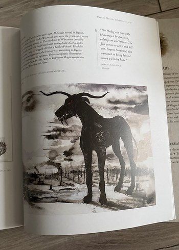 Harry Potter: A History of Magic Kitabı - Görsel 11