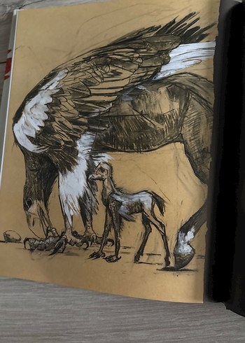 Harry Potter: A History of Magic Kitabı - Görsel 12