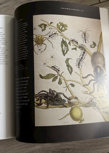 Harry Potter: A History of Magic Kitabı - Görsel 9