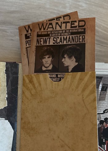 The Dark Arts Film Scrapbook - Harry Potter - Görsel 9