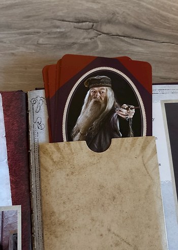 The Dark Arts Film Scrapbook - Harry Potter - Görsel 6