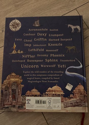 Fantastic Beasts ve Nerede Bulunurlar - J.K. Rowling - Görsel 3