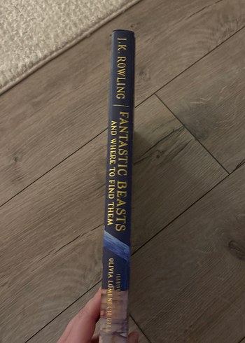 Fantastic Beasts ve Nerede Bulunurlar - J.K. Rowling - Görsel 2