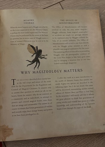 Fantastic Beasts ve Nerede Bulunurlar - J.K. Rowling - Görsel 9